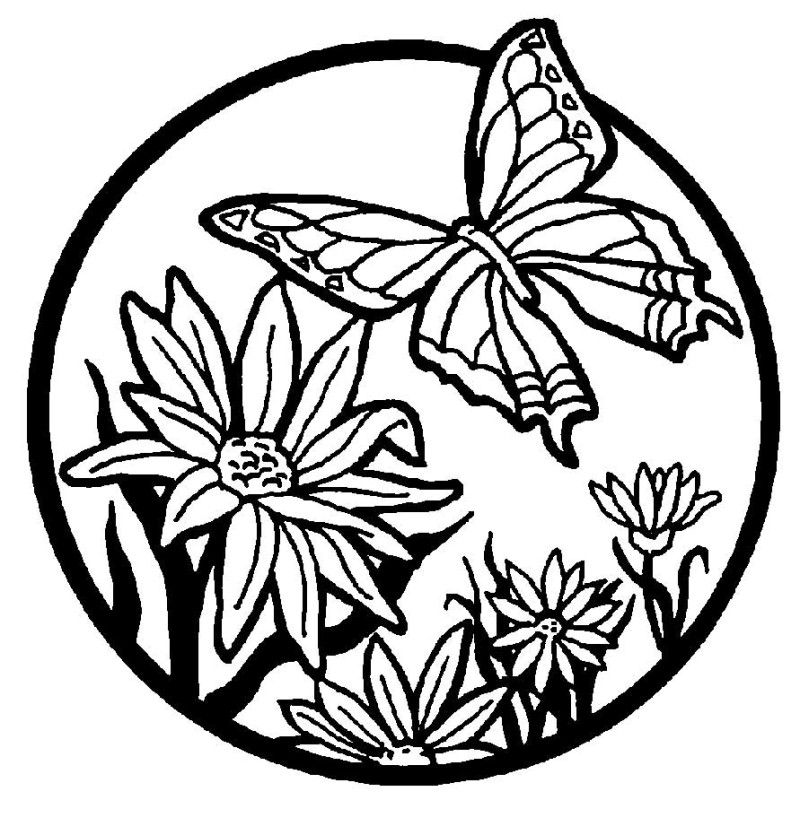 butterfly-with-flowers-coloring-pages: butterfly-with-flowers 