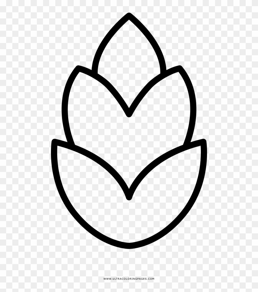 Pine Cone Coloring Page - Line Art - Free Transparent PNG Clipart Images  Download