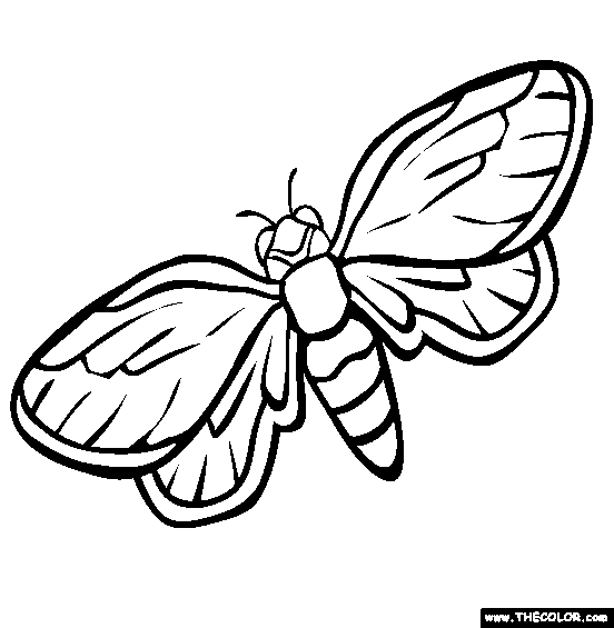 Insect Online Coloring Pages