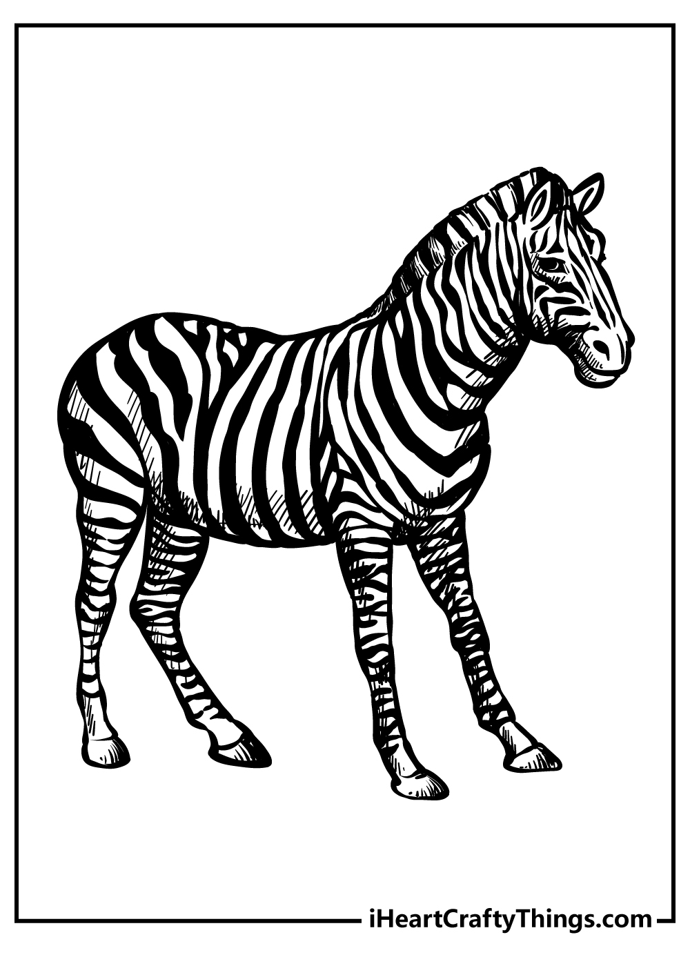 Printable Zoo Animals Coloring Pages (Updated 2023)
