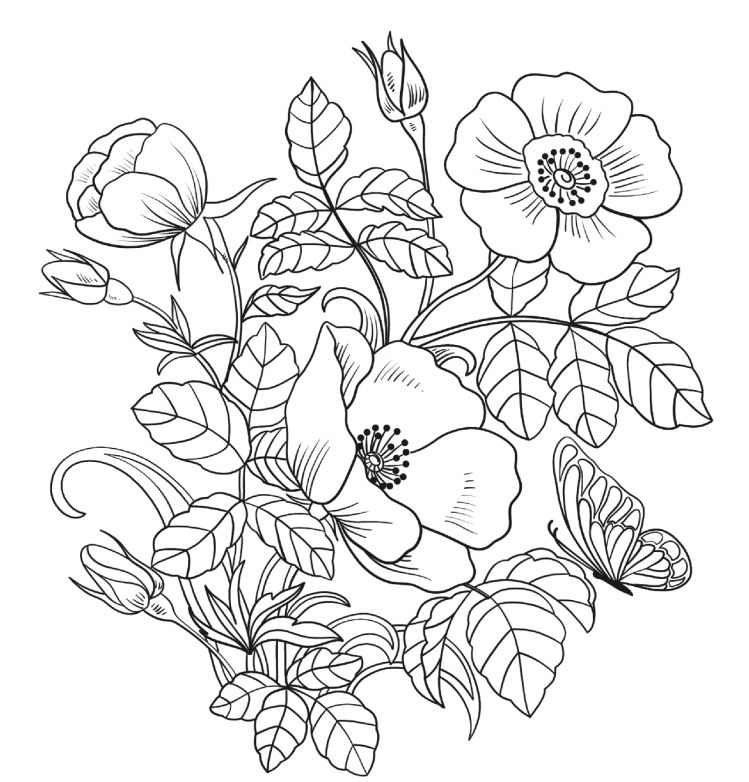 14 Places to Find Free, Printable Spring Coloring Pages