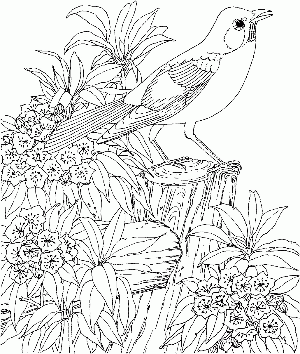 coloring pages for teenagers difficult mermaid | Only Coloring Pages