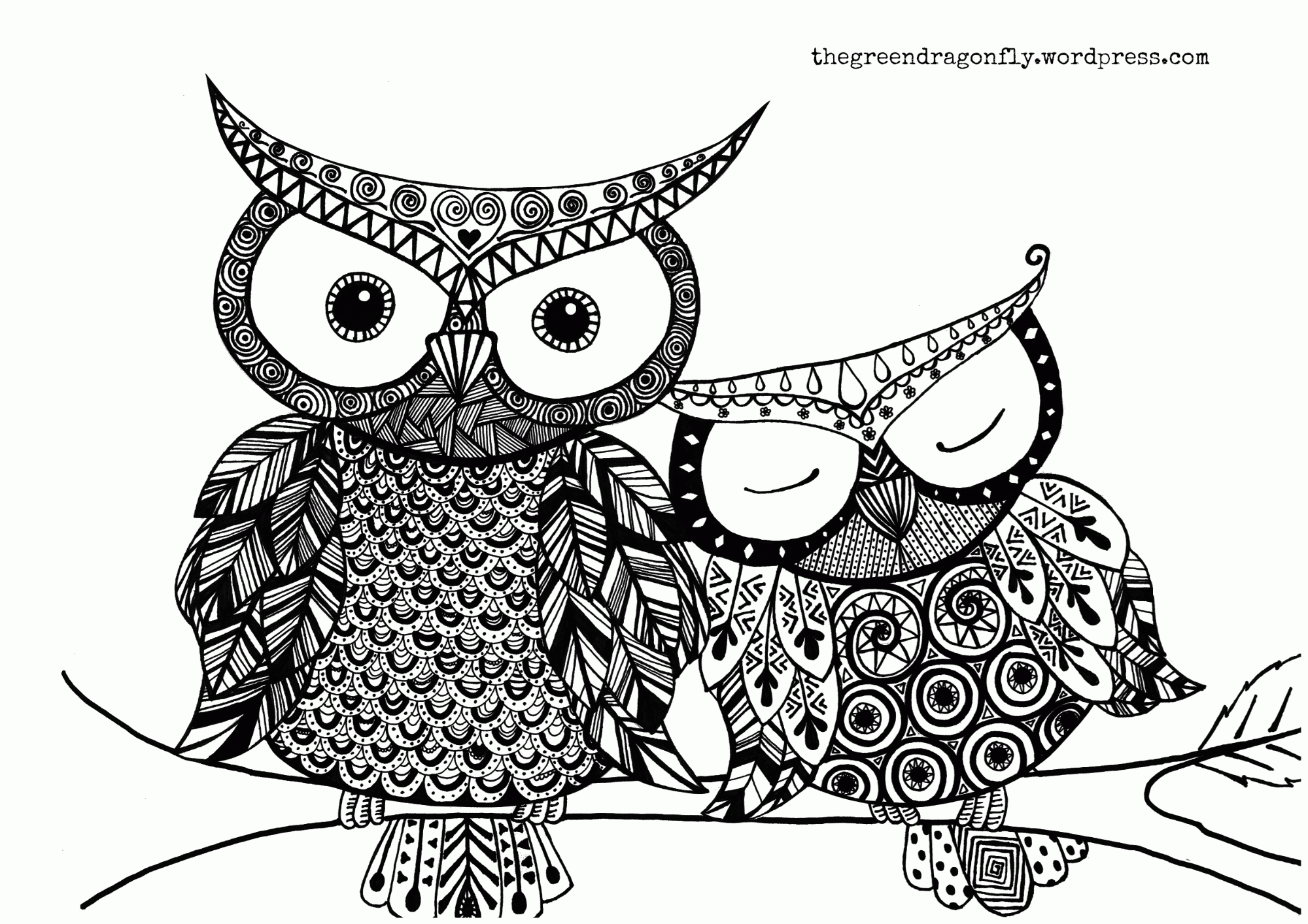 Amazing of Gallery Of Cartoon Owl Coloring Pages By Owl C #651