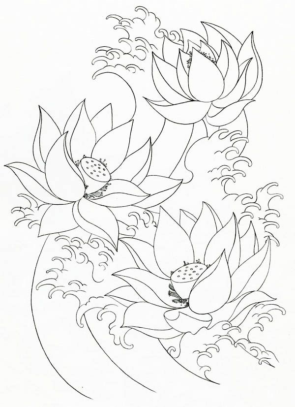 Lotus Flower Coloring Page for Pinterest