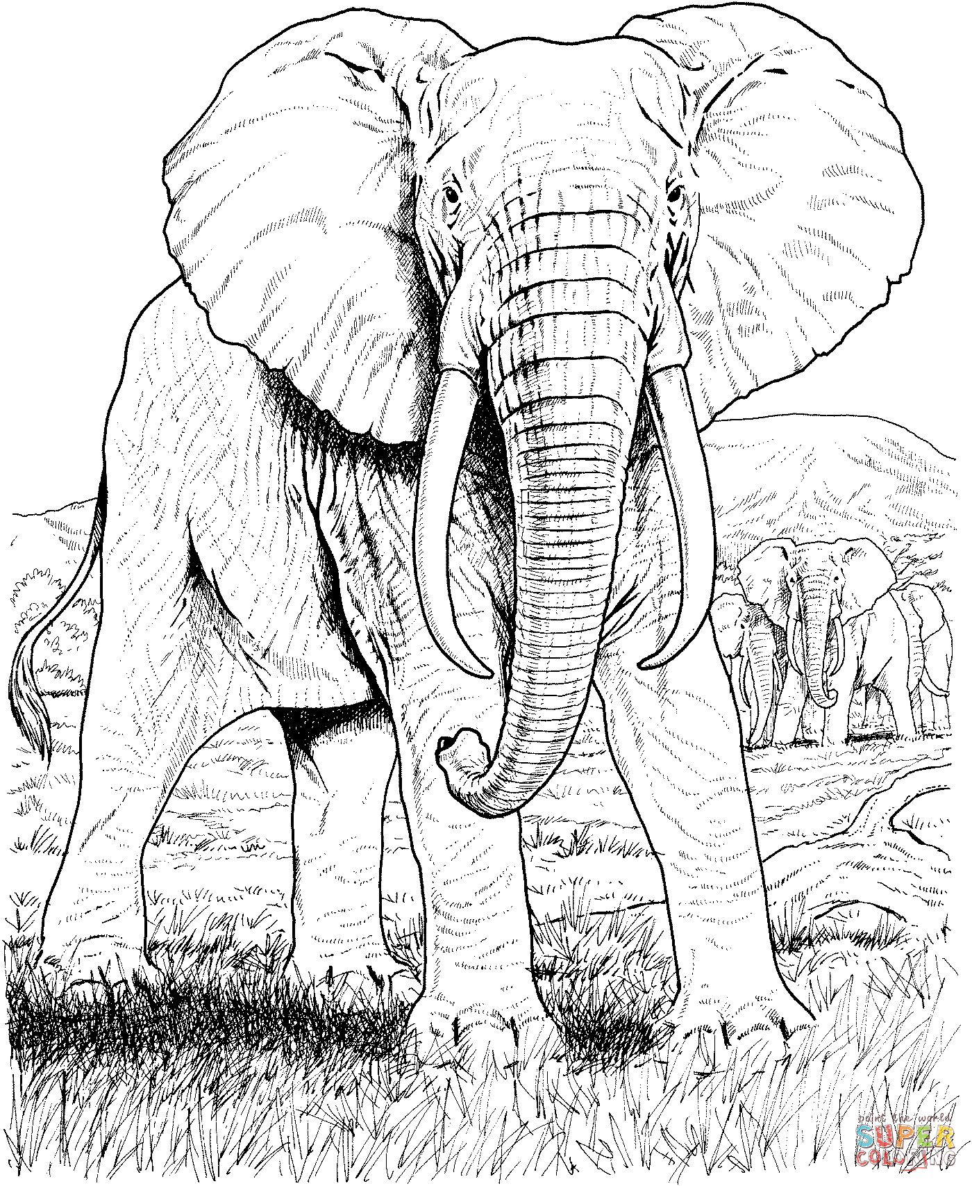 African animals coloring pages | Free Printable Pictures