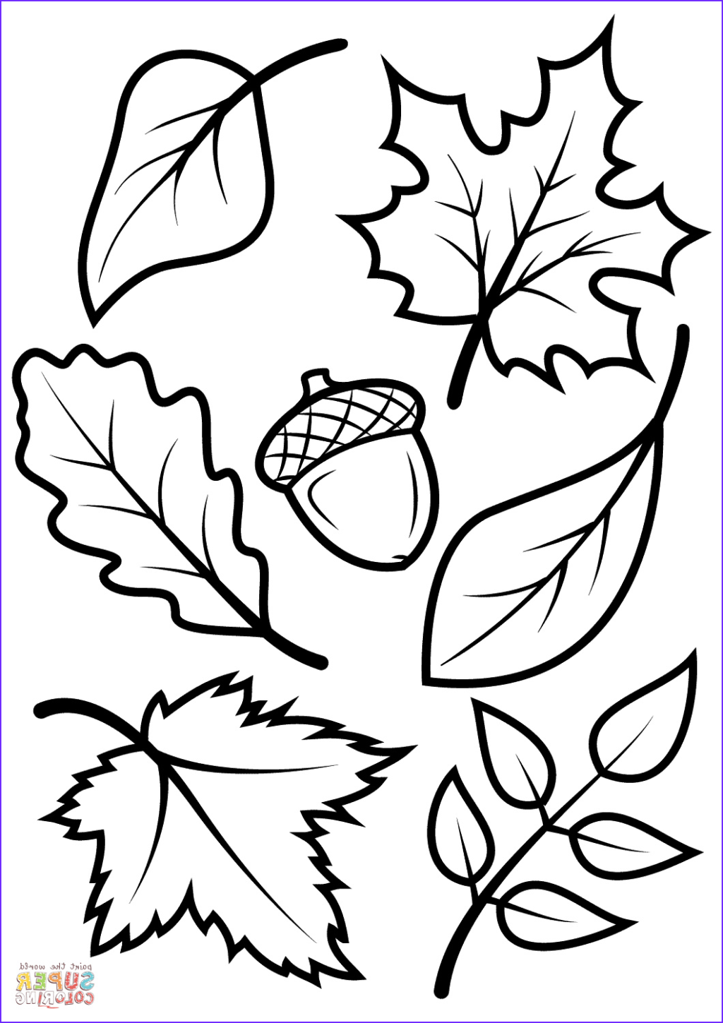 Excelent Leaf Coloring Sheets Pages Acorn Image Ideas Free Marijuana  Pictures Big Printable Maple For Astonishing Fall Leaves 1024×1449  Preschool – Approachingtheelephant