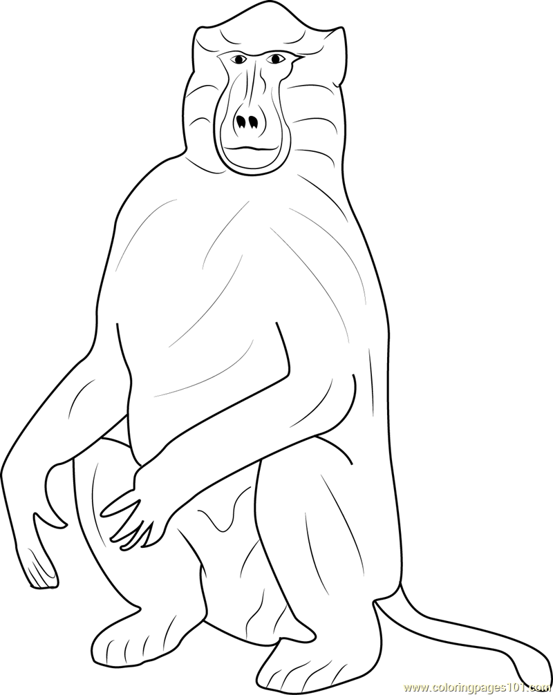 Baboons Coloring Page for Kids - Free Baboon Printable Coloring Pages  Online for Kids - ColoringPages101.com | Coloring Pages for Kids