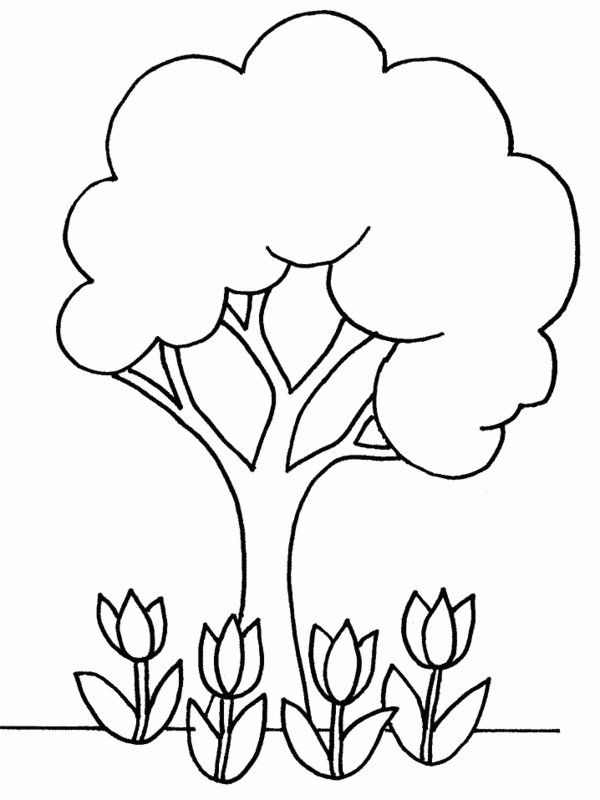 Cartoon Tulips And Tree Coloring Pages Picture 27 – Beautiful ...