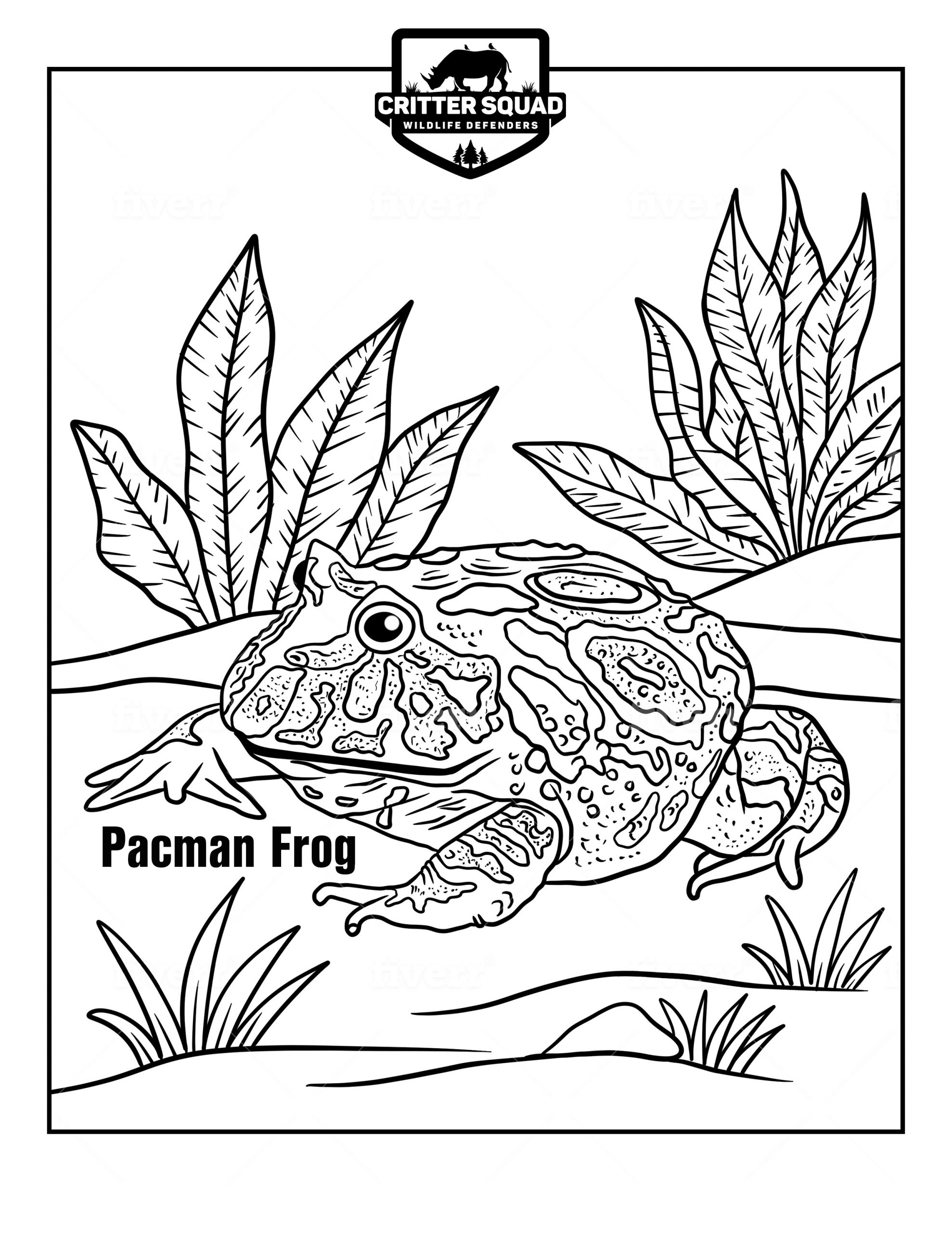 Pacman Frog Coloring Page - C.S.W.D