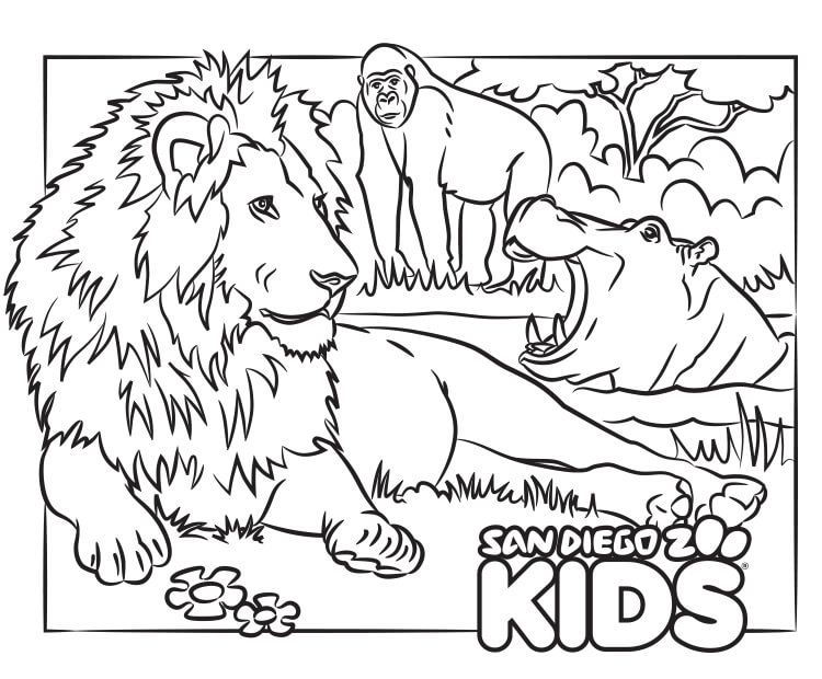 Coloring Page: Lion and Friends | San Diego Zoo Kids