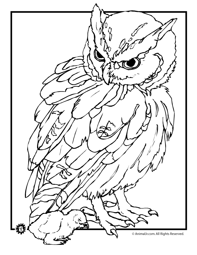 Animals coloring pages for free. Realistic Of Animals coloring ...