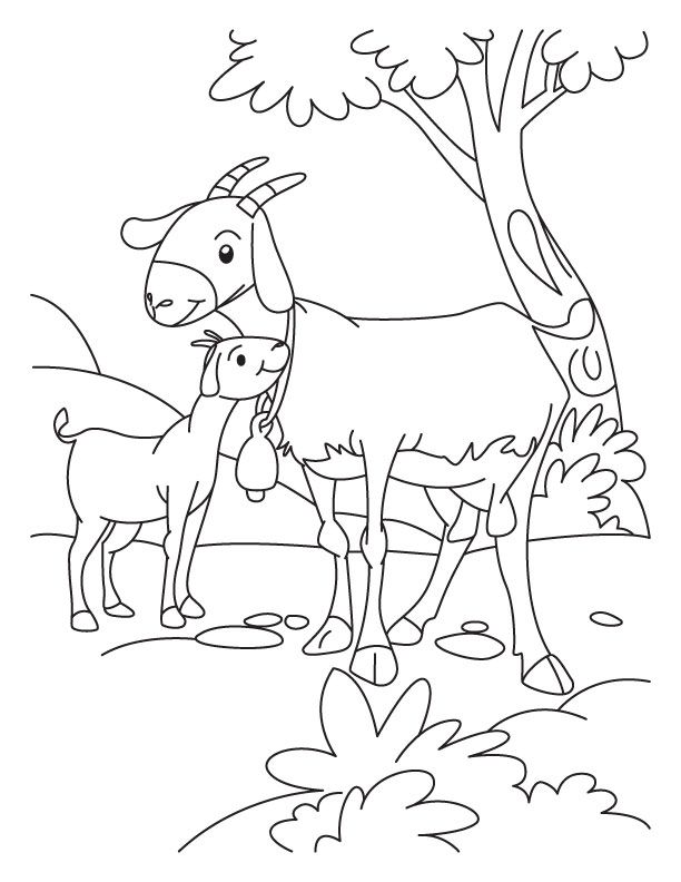 Goat and Kid coloring page | Download Free Goat and Kid coloring 