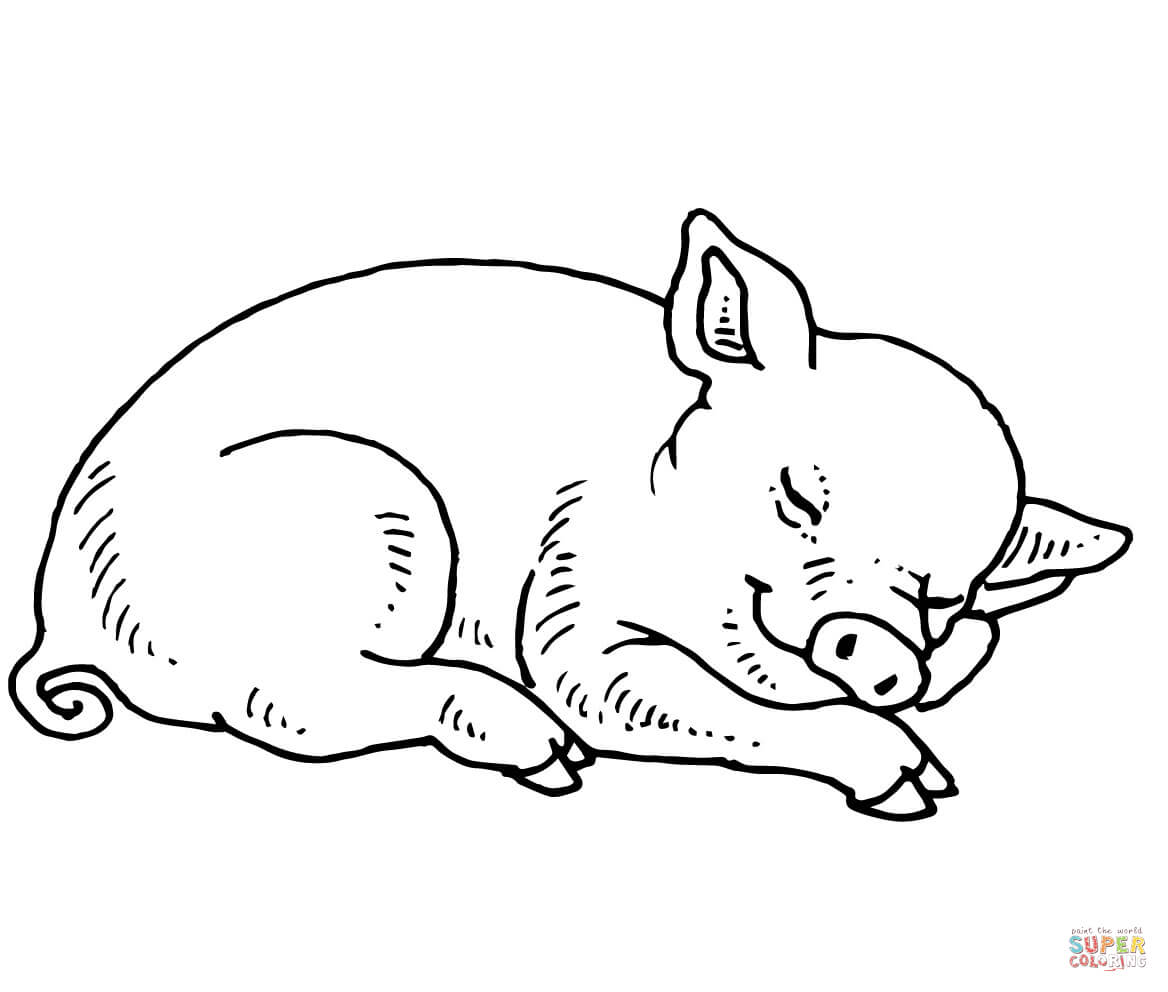 Pig coloring pages | Free Coloring Pages