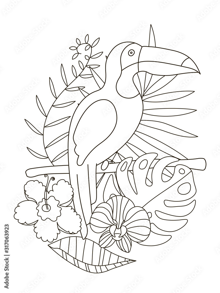 Hand drawing coloring pages for children and adults. A beautiful coloring  book in a linear style for creative creativity. Antistress coloring book  with toucan, tropical flowers, orchid, monstera, palm Stock Vector |