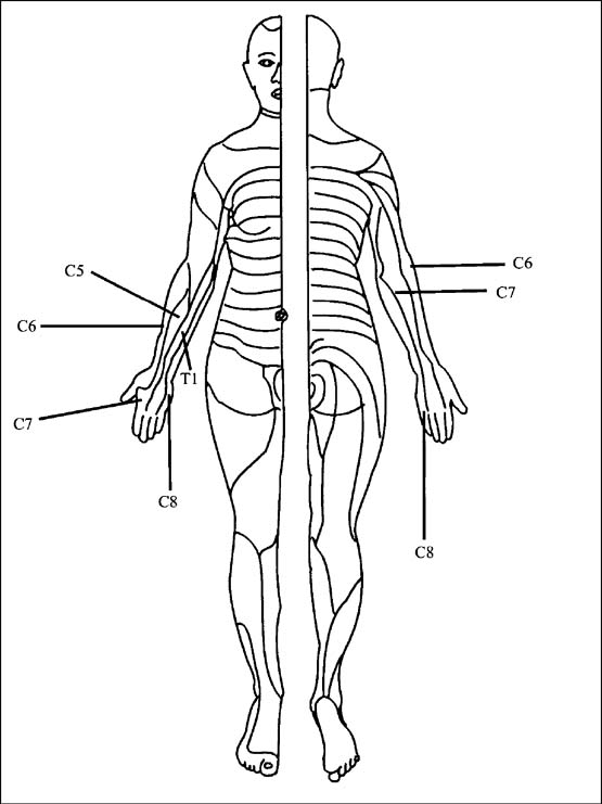 SAGE Books - Sensory Processes