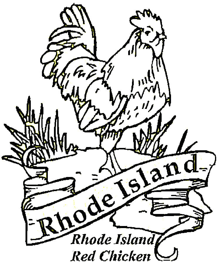 Red Chicken Of Rhode Island Coloring Pages - Rhode Island Coloring Pages - Coloring  Pages For Kids And Adults