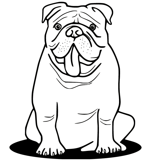 Bulldog in the Puddle Coloring Pages - Bulldog Coloring Pages - Coloring  Pages For Kids And Adults