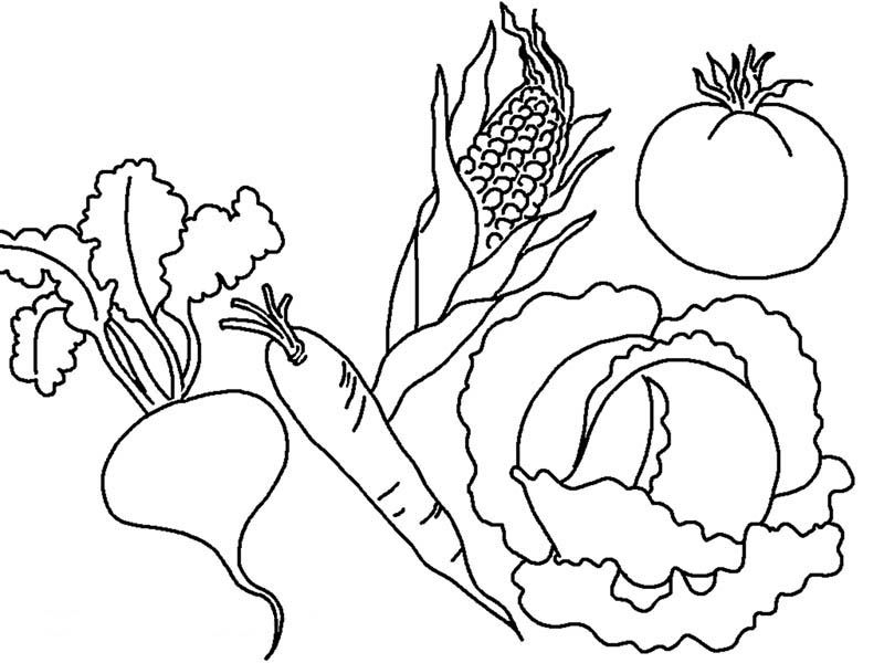 fantastic Free Kids Coloring Pages : Coloring Page - Ducoloring.com