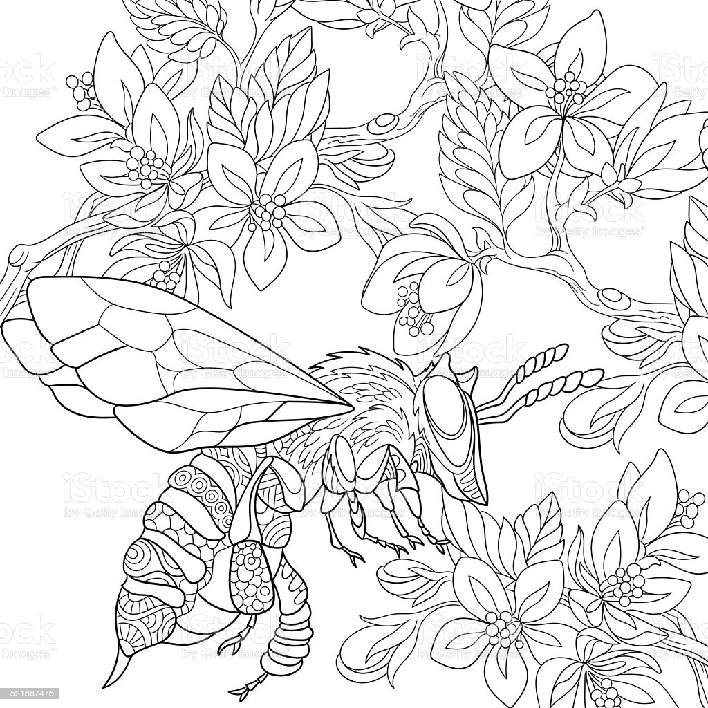 Hand Drawn Stylized Bee Insect Stock Illustration - Download Image Now -  iStock
