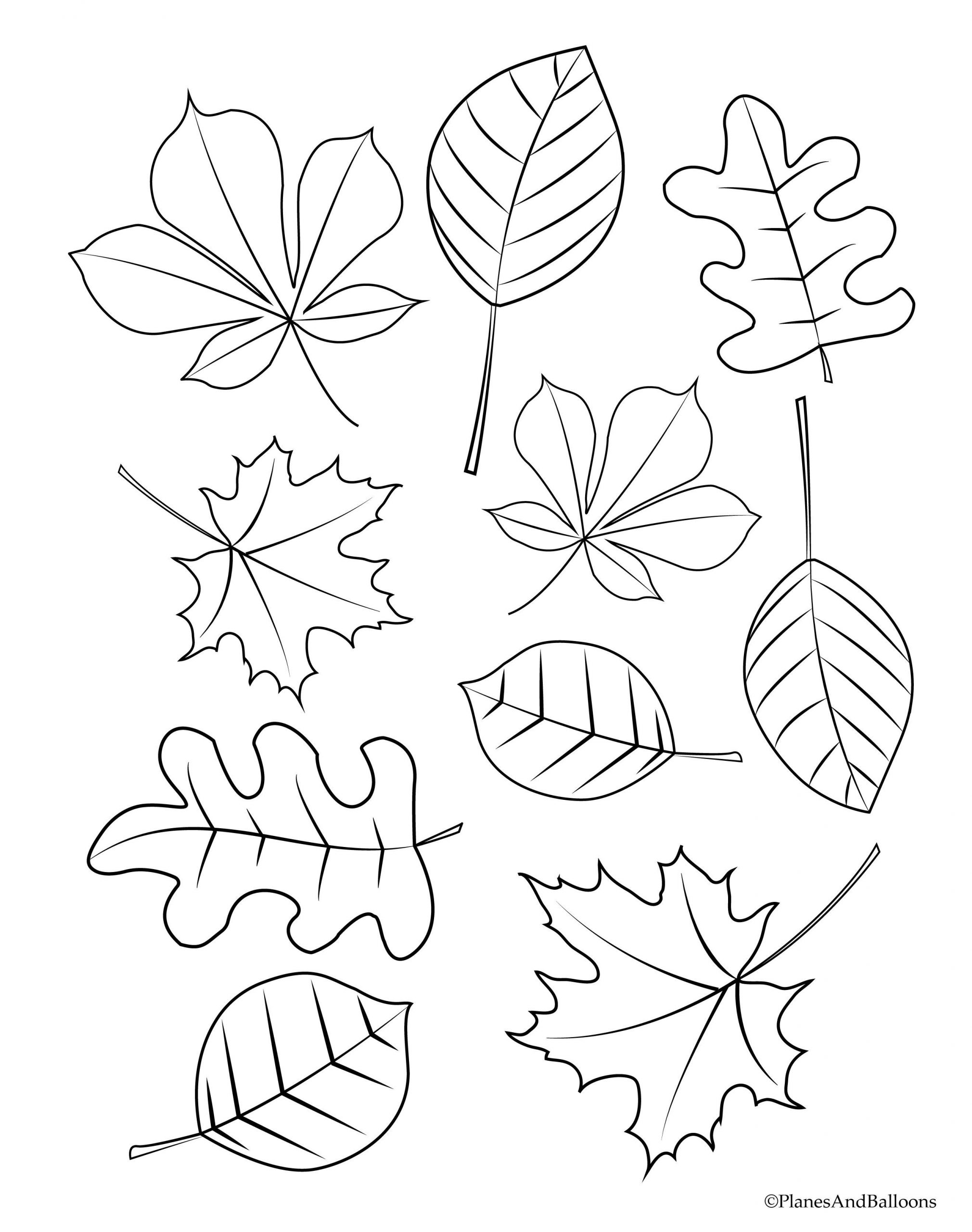 Autumn Leaves Coloring Pages Preschool 2nd Grade For Children Free Palm  Kids – Approachingtheelephant