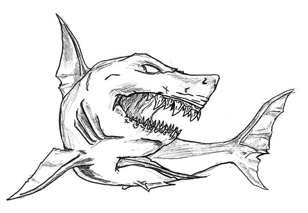 Shark Jaws Sketch Coloring Pages : Best Place to Color | Shark coloring  pages, Shark drawing, Shark art
