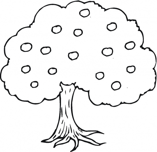 Mango Tree Colouring Pages - ClipArt Best