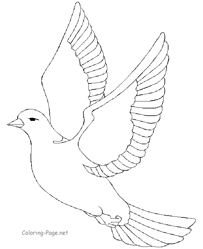 Free Dove Coloring Pages - Get Coloring Pages