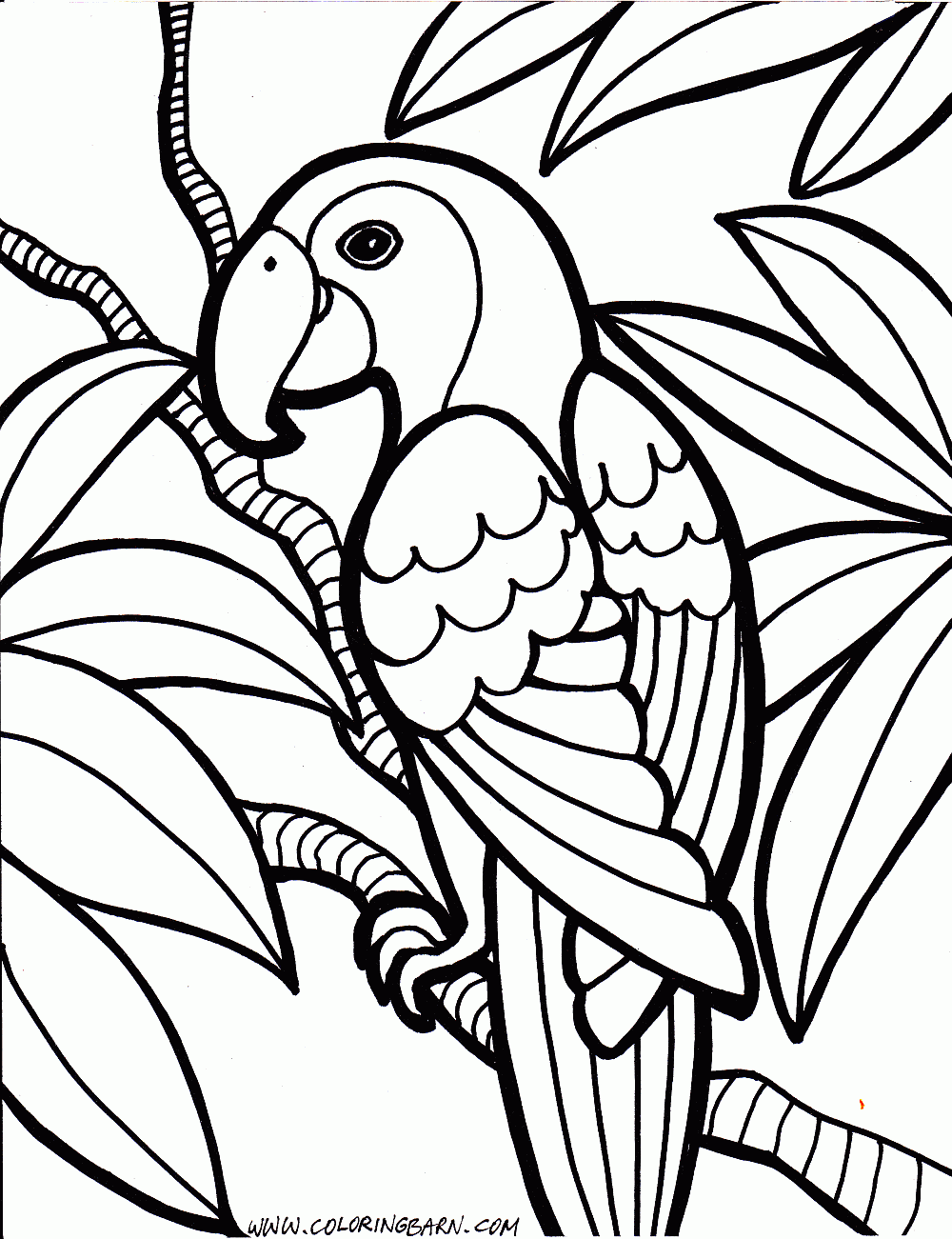 Printable Parrot Coloring Pages For Kids Kids adult