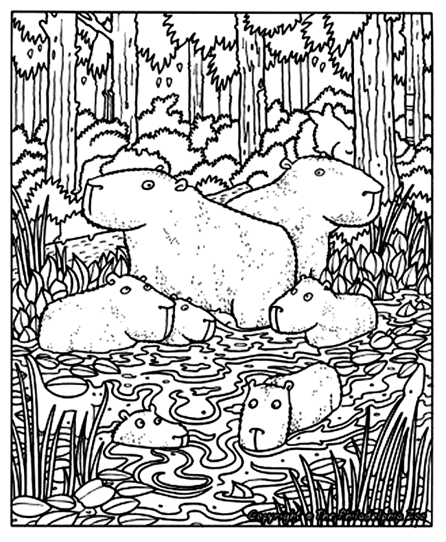 Capibara coloring page - Animals Town - animals color sheet - Capibara  printable coloring | Coloring pages, Capybara, Coloring sheets