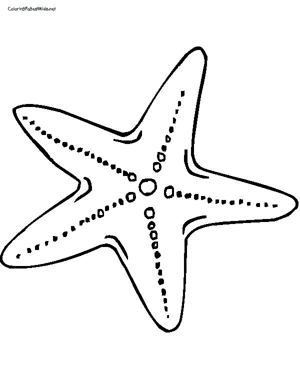 printablecolouringpages.co.uk | Fish coloring page, Coloring pages, Art  projects for adults