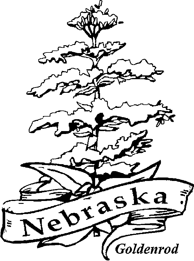 Nebraska state bird coloring pages