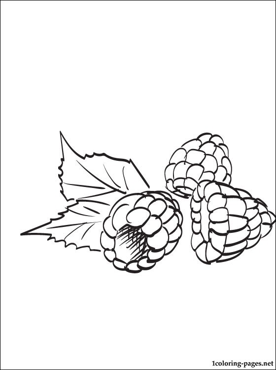 Raspberry coloring page | Coloring pages