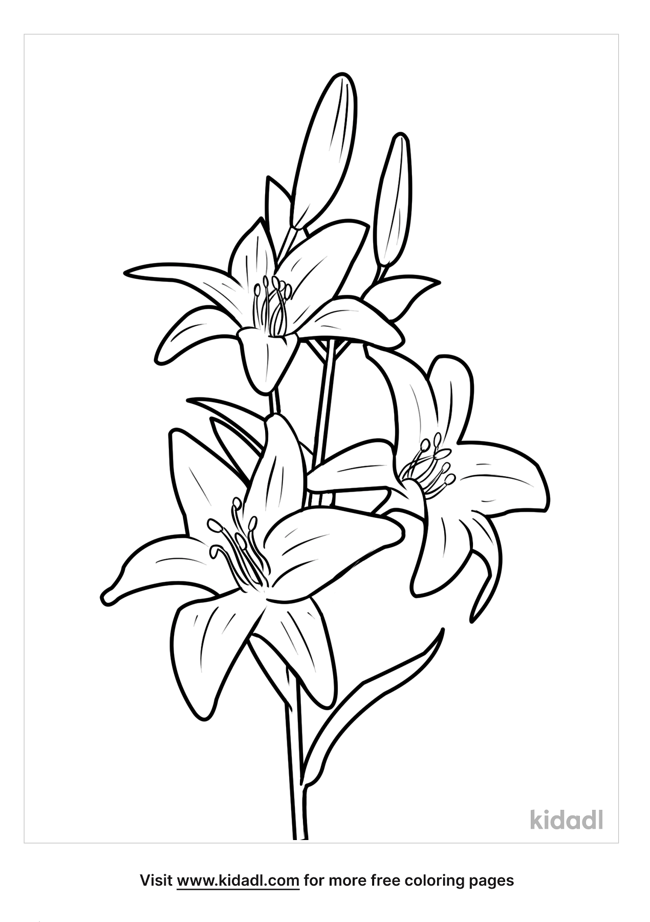 Lily Coloring Pages | Free Flowers Coloring Pages | Kidadl