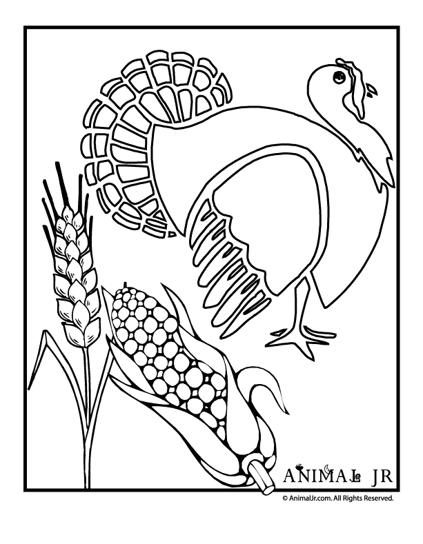 Turkey Coloring Page with Wheat & Corn | Woo! Jr. Kids Activities