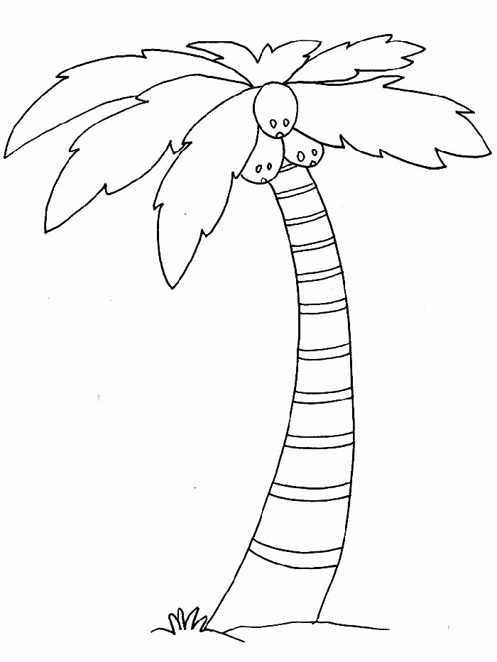 Hawaiian Pictures To Color - Coloring Pages for Kids and for Adults