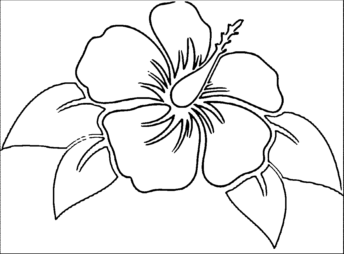 hawaiian hibiscus - Clip Art Library