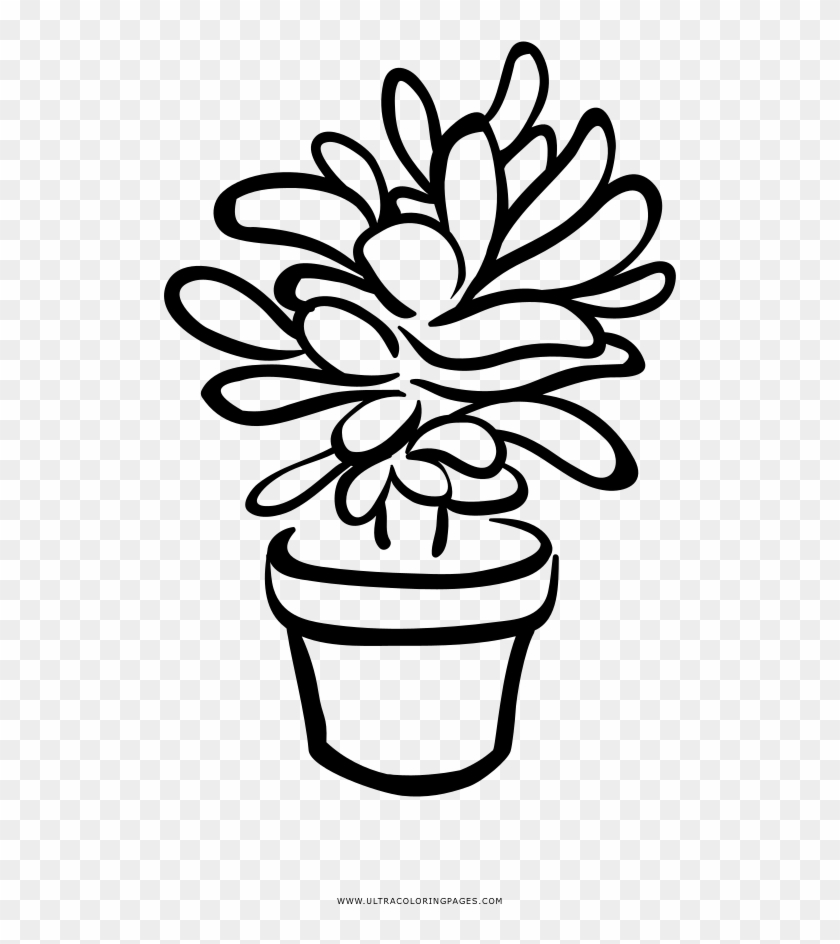 Succulent Coloring Page - Succulent Clip Art Black And White - Free  Transparent PNG Clipart Images Download