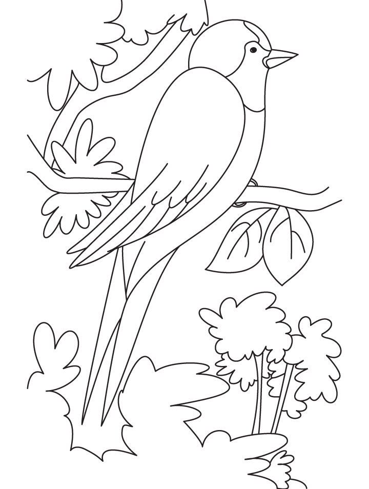 Black saw wing coloring page | Download Free Black saw wing coloring page  for kids | Best Coloring Pages