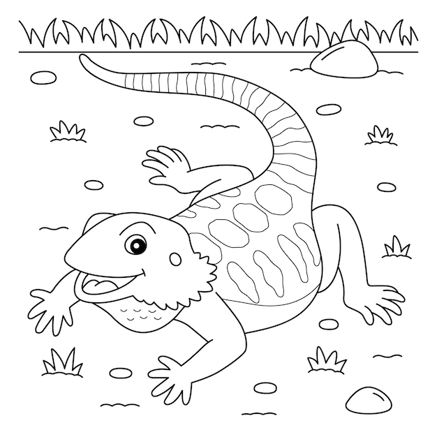 Premium Vector | Bearded dragon animal coloring page for kids