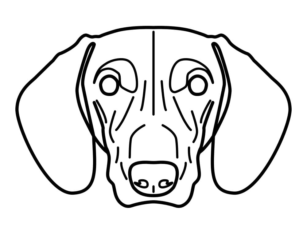 Dachshund Face Coloring Page - Free Printable Coloring Pages for Kids