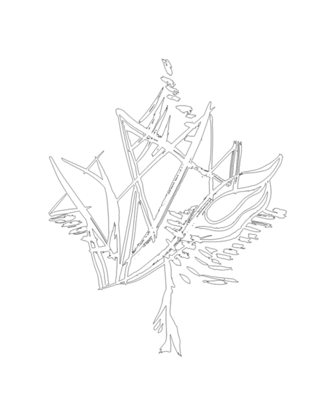 10,000 Pages: Canadian Maple Leaf Colouring Page 5813