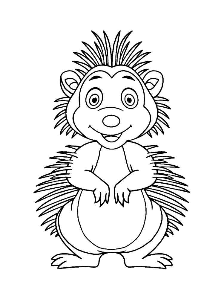 Porcupine coloring pages