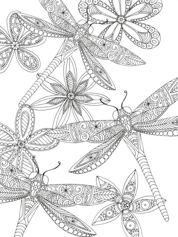 Pin on dragon coloring page