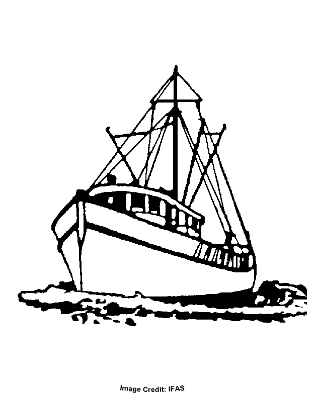 Free Pictures Of A Boat, Download Free Clip Art, Free Clip Art on Clipart  Library