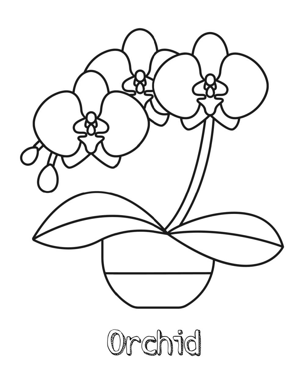 Free Printable Orchid Coloring Page - Mama Likes This