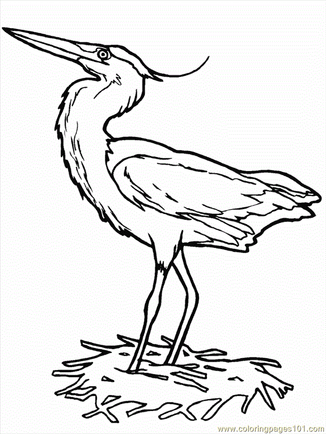 Heron Coloring Page for Kids - Free Heron Printable Coloring Pages Online  for Kids - ColoringPages101.com | Coloring Pages for Kids