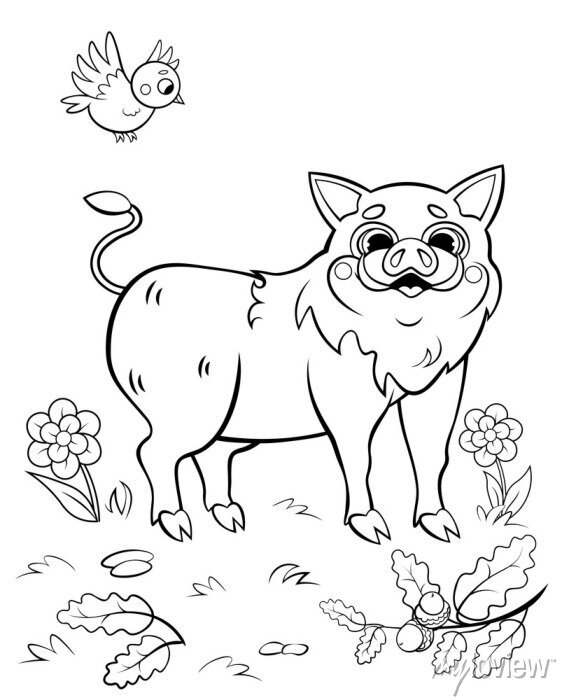 Coloring page outline of cute cartoon hog or boar with a bird. posters for  the wall • posters printable, grass, illustration | myloview.com