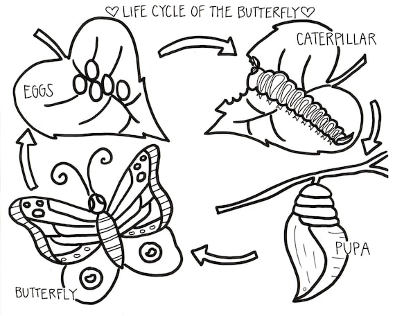 Coloring Pages/ Coloring Pages for Kids/ Coloring Pages - Etsy