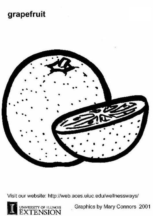 Coloring Page grapefruit - free printable coloring pages - Img 5805