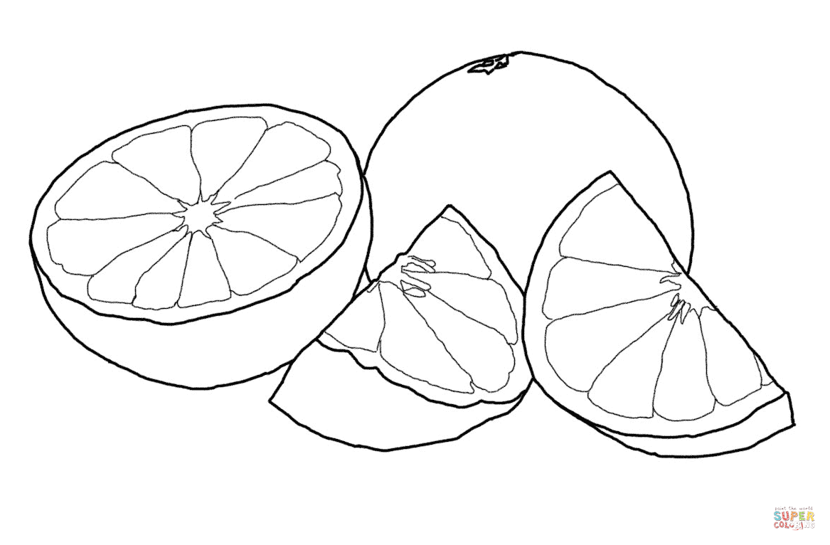 Grapefruit coloring page | Free Printable Coloring Pages